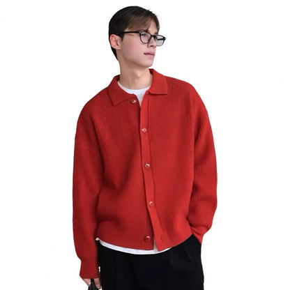 Slim Fit Knitted Cardigan Sweater