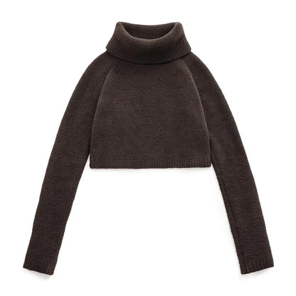 Cozy Solid Color Turtleneck Sweater